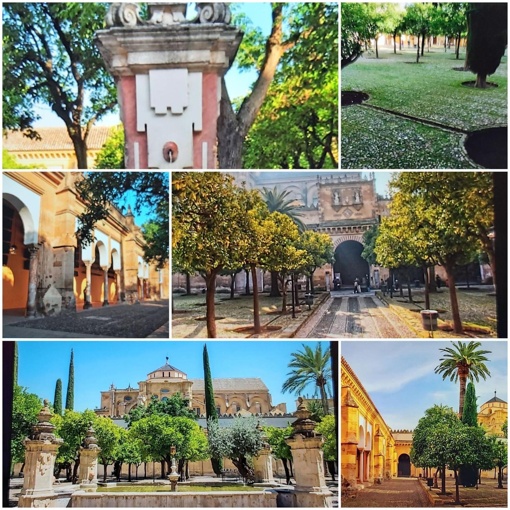 A 20 Metros De La Mezquita Catedral ,Apartamentos Turistico Cespedes 5 Córdoba Rum bild