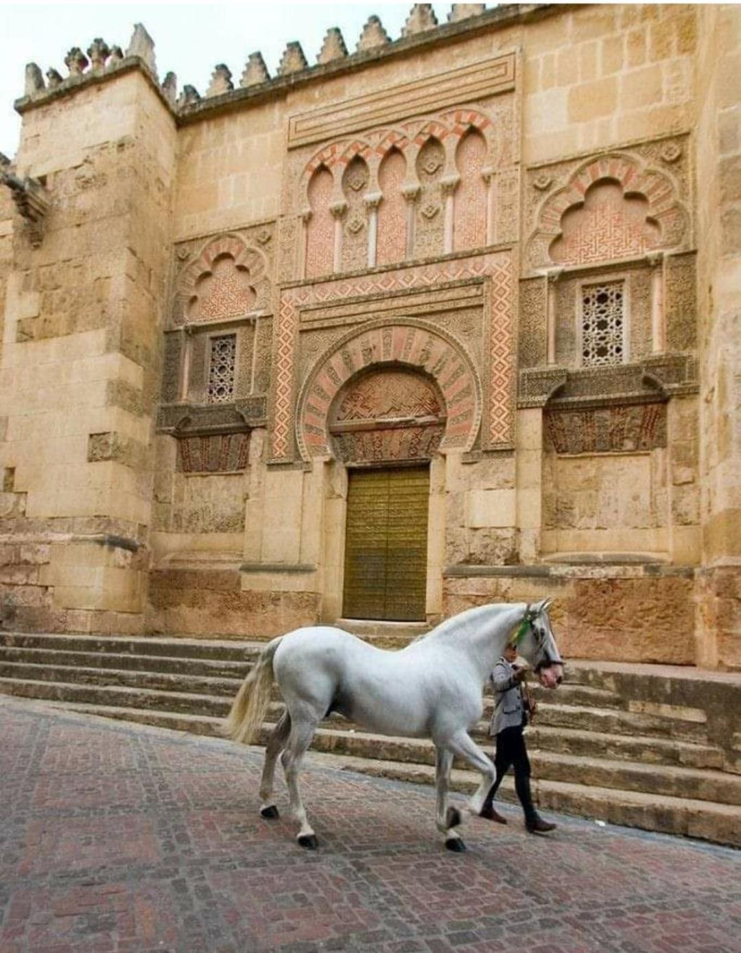 A 20 Metros De La Mezquita Catedral ,Apartamentos Turistico Cespedes 5 Córdoba Rum bild